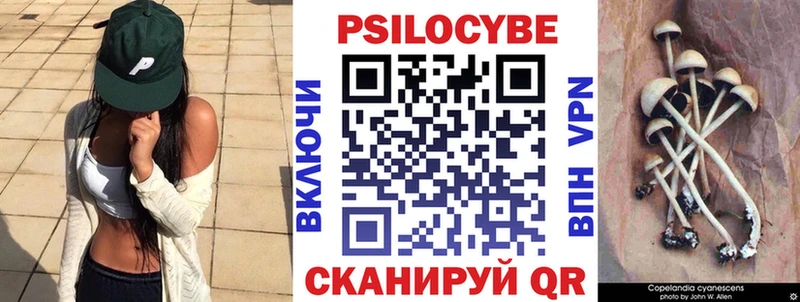 купить   Зерноград  Псилоцибиновые грибы ЛСД 