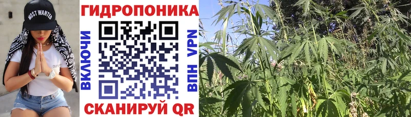 Бошки марихуана THC 21%  ОМГ ОМГ ССЫЛКА  Зерноград 